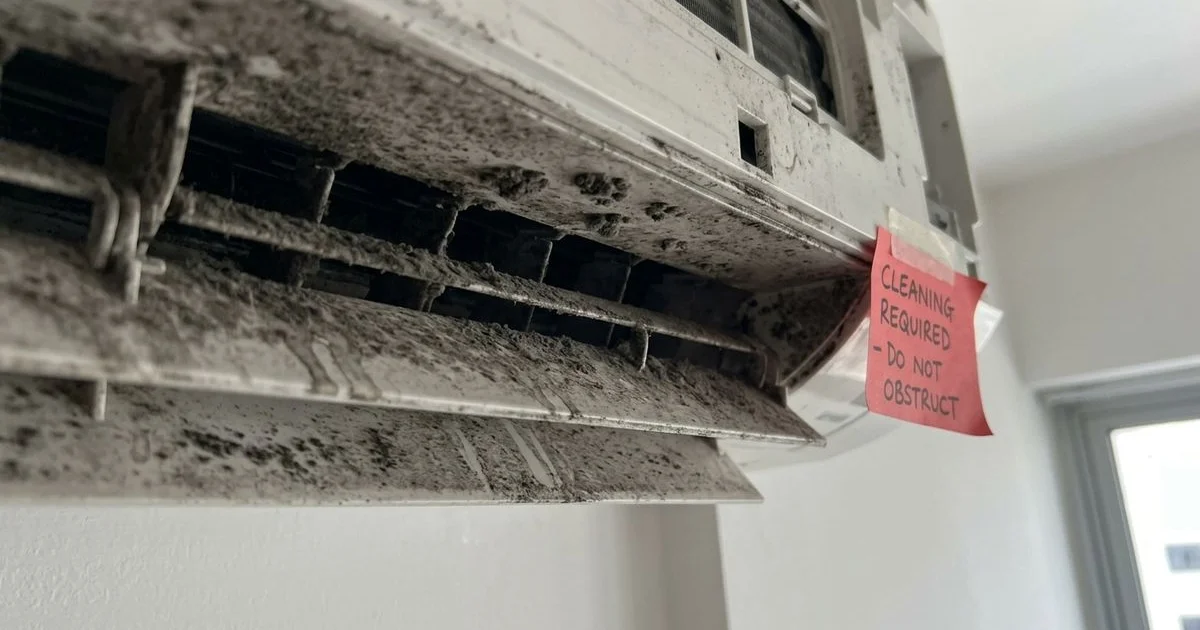 Visible black mould around aircon louvres